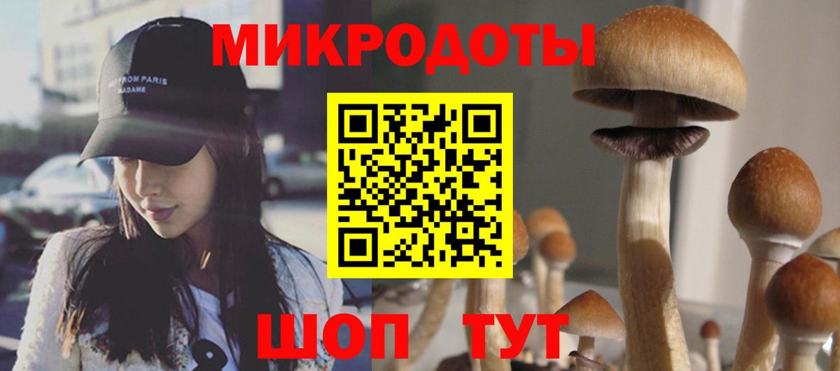 Псилоцибиновые грибы GOLDEN TEACHER  Вход с VPN  Алейск 